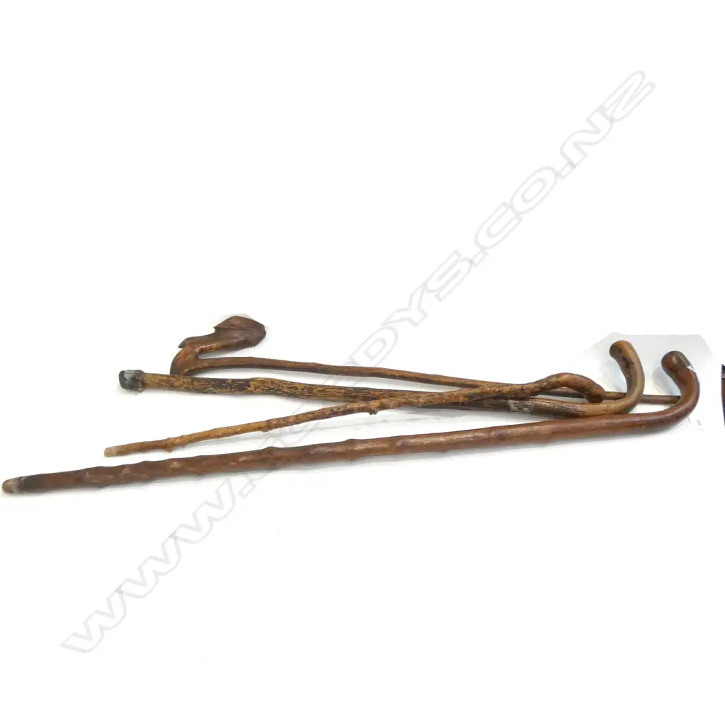 4 VINTAGE WALKING STICKS L. 880MM Image 1++