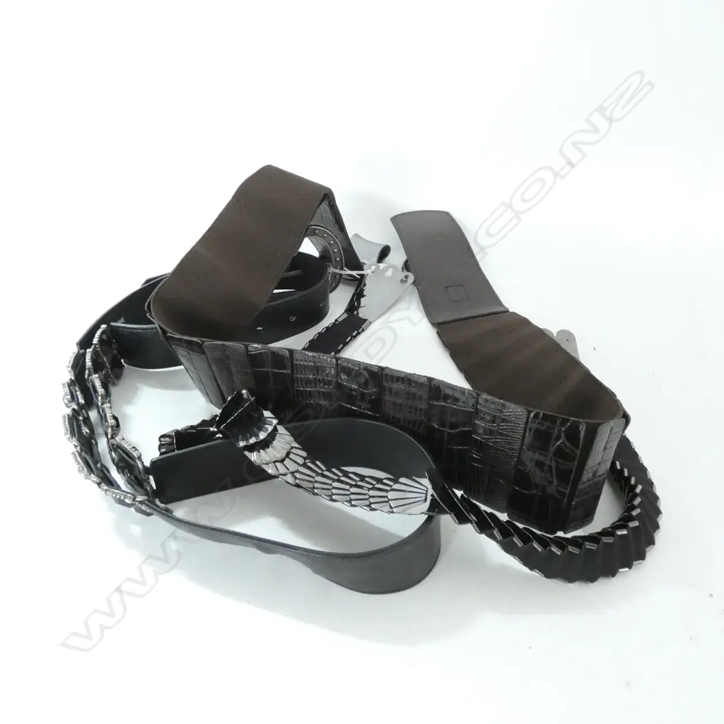 THREE QUALITY LADIES BELTS -  DECORATIVE BUCKLES & BELTS  Image 1++