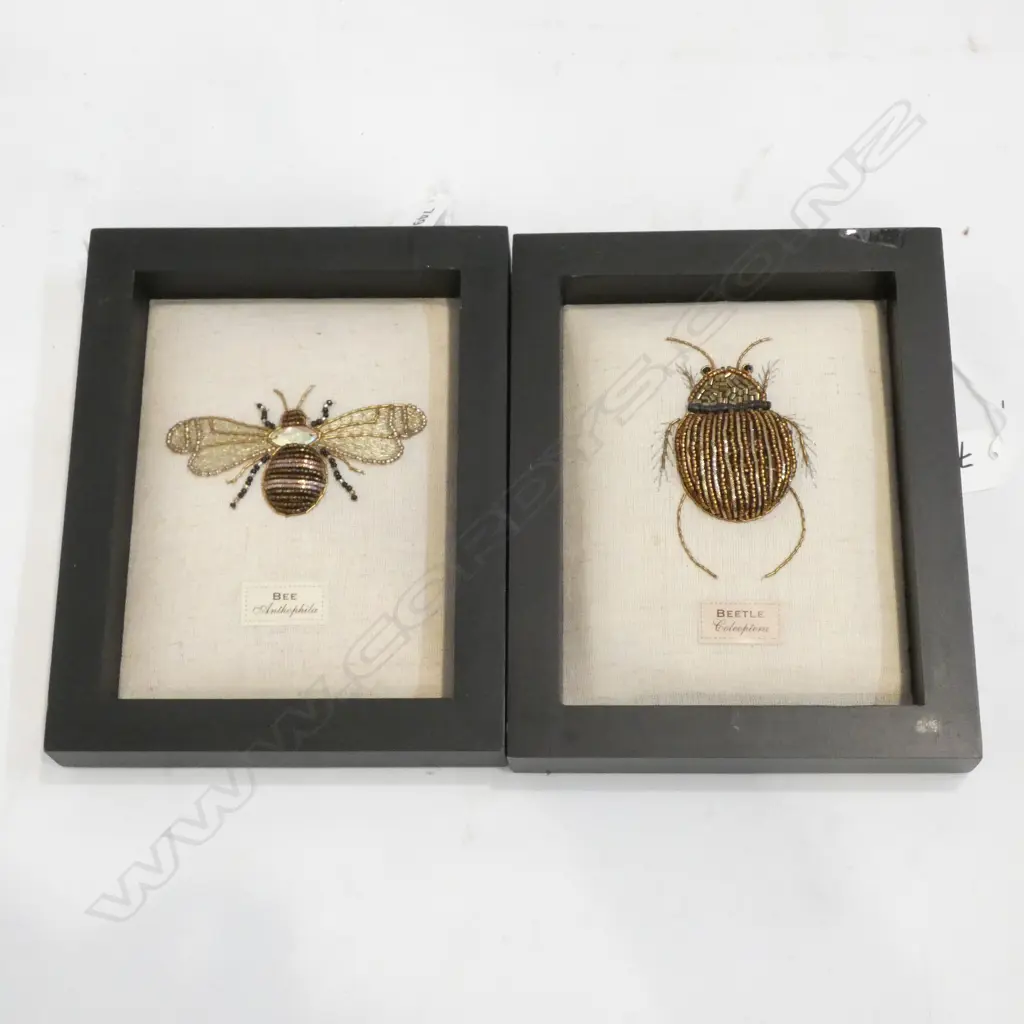 PR FRAMED BEADED INSECTS - BEE & BEETLE  - 200 X 160MM Image 1++