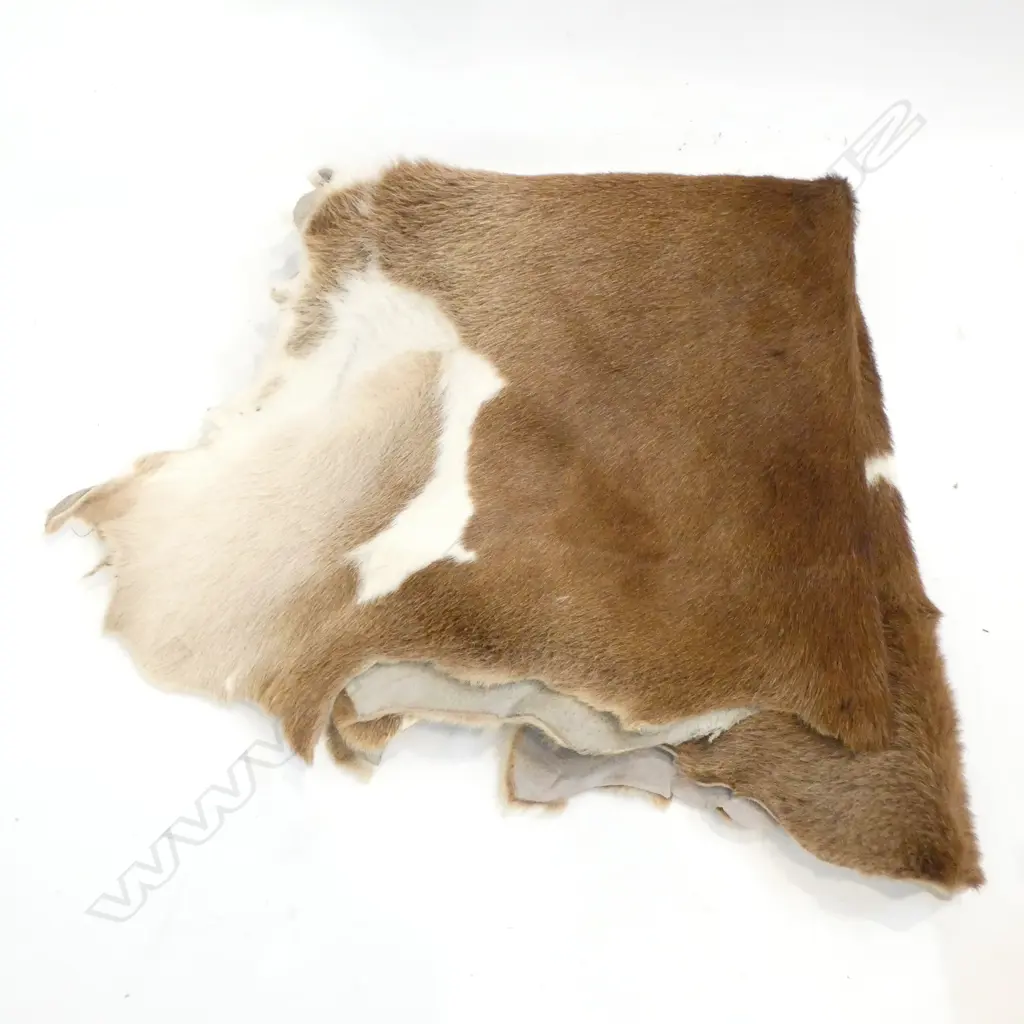PELT L. 660MM Image 1++