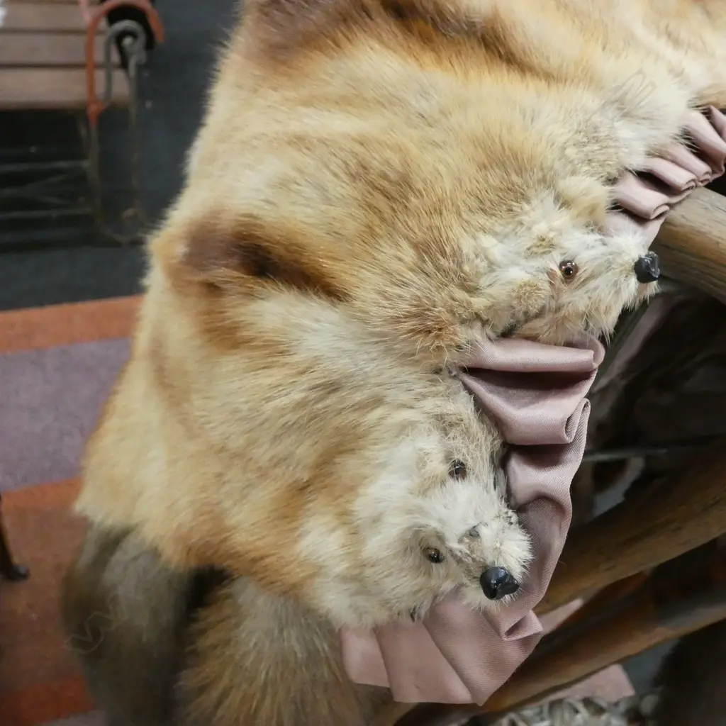 MARTEN FUR WRAP C 1935-45  Image 1++