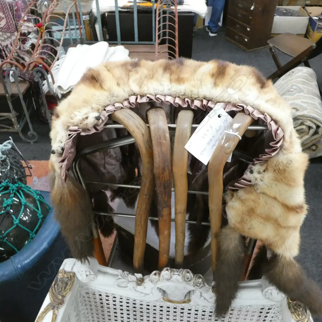 MARTEN FUR WRAP C 1935-45  Image 1++