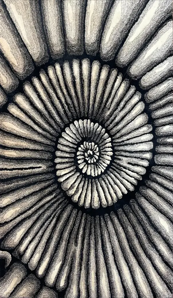 LARGE MID CENTURY HANDMADE WOOL RUG Image 1++