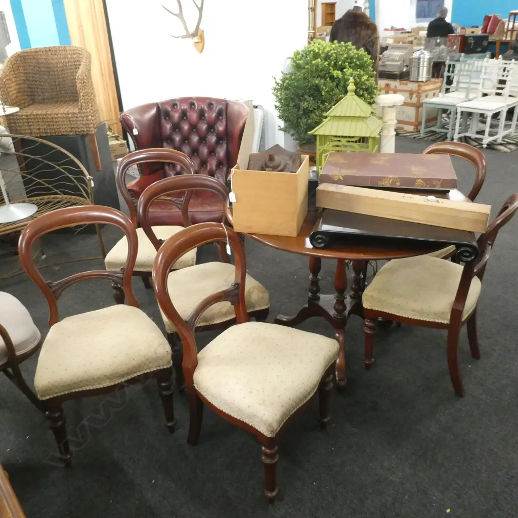 SET 6 COLONIAL KAURI BALLOON BACK DINING CHAIRS  Image 1++