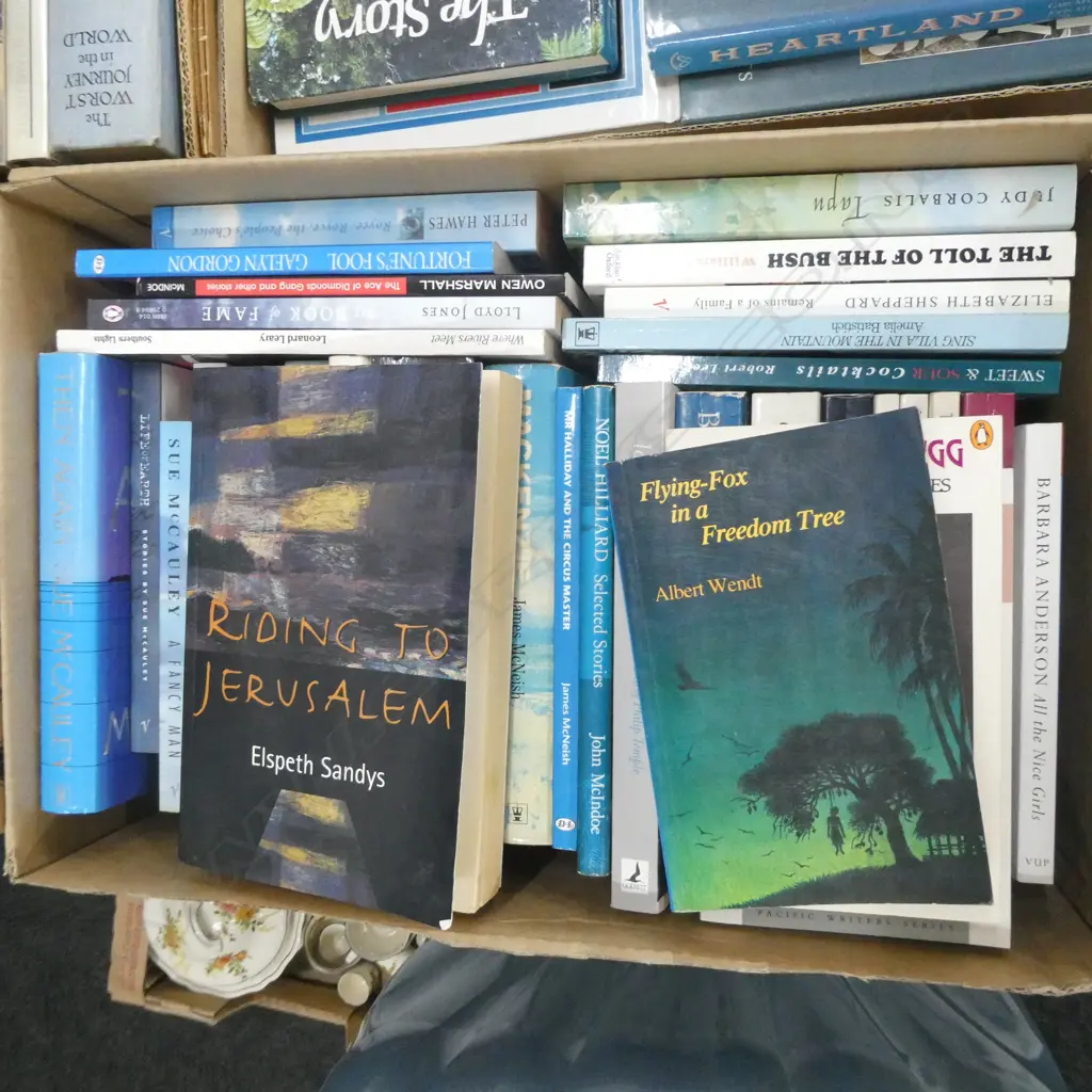 BOX LOT NOVELS; NZ AUTHORS  Image 1++