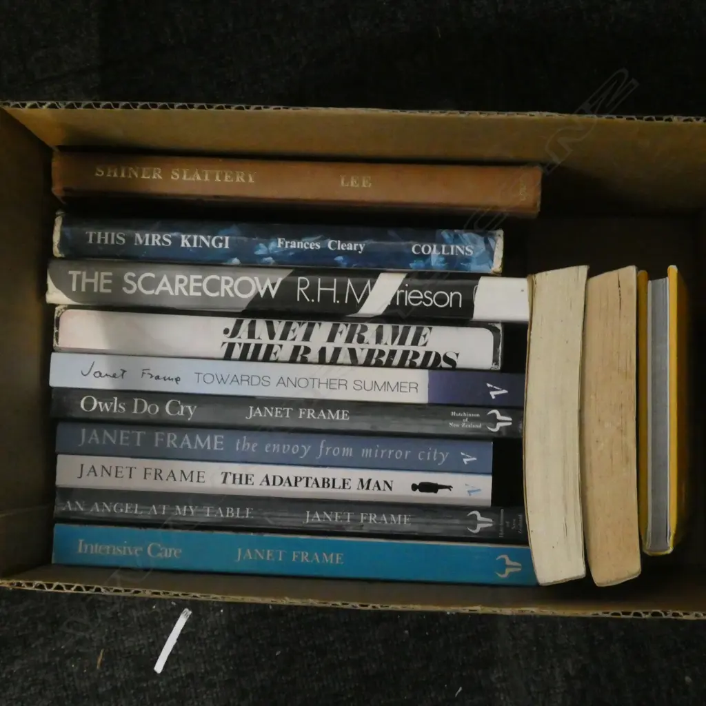 BOX LOT JANET FRAME NOVELS ETC Image 1++