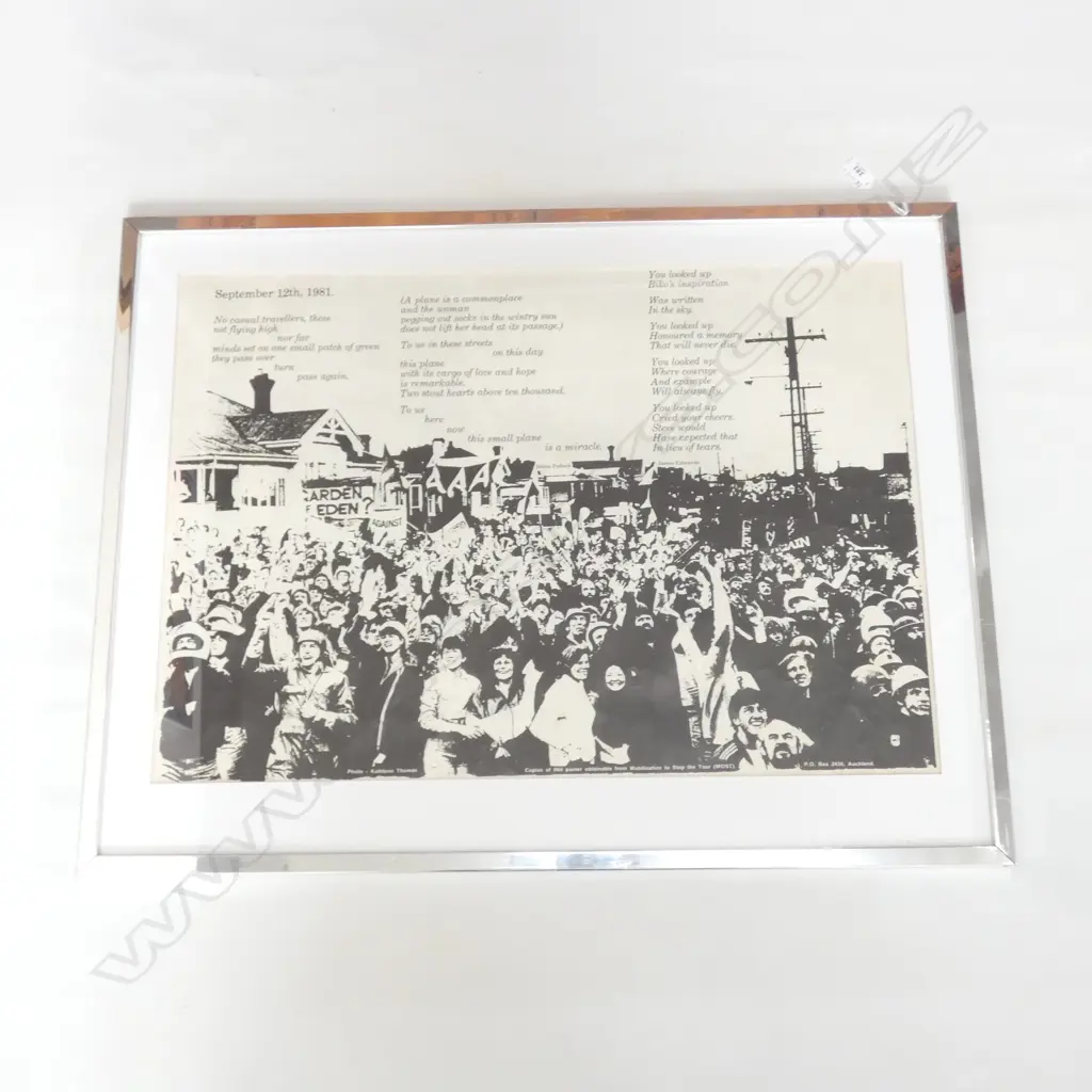SPRINGBOX TOUR MT EDEN PROTEST POSTER 495 X 705MM Image 1++