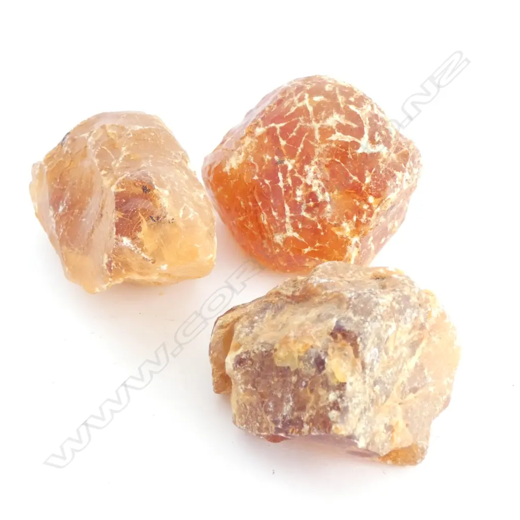 THREE KAURI GUM PIECES Image 1++