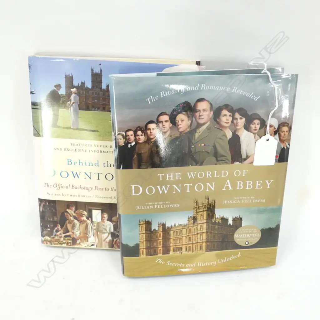 2 BOOKS ON 'DOWNTON ABBEY' Image 1++