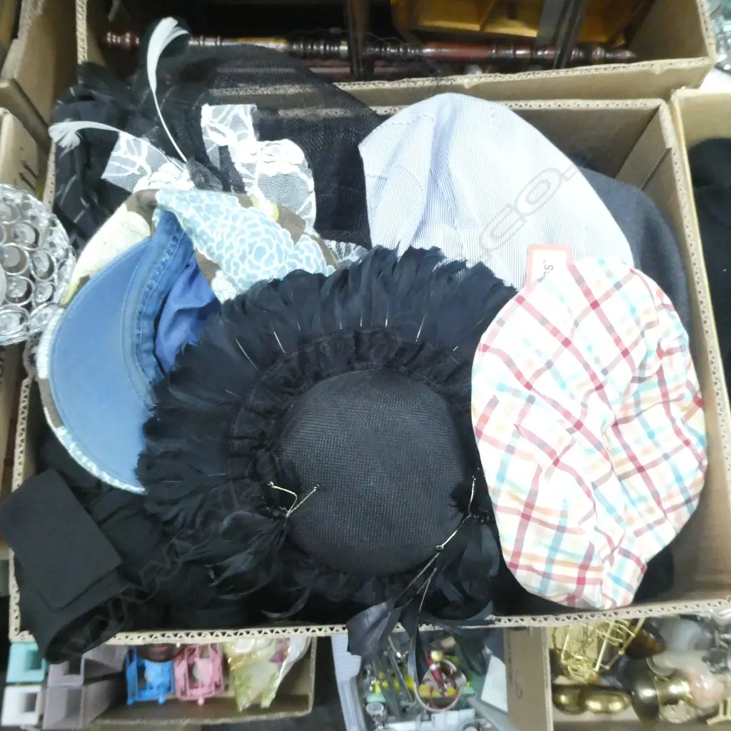BOX LOT ASST. HATS, BAGS, SCARVES ETC Image 1++