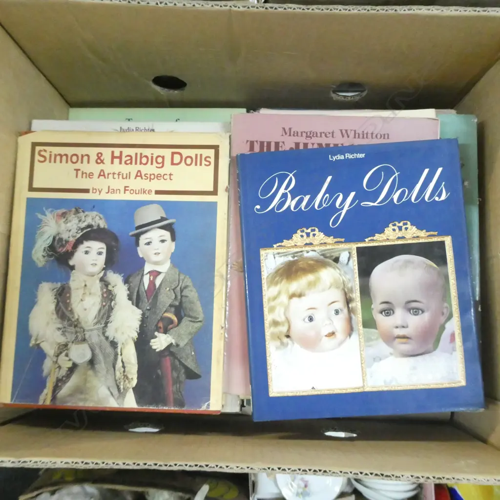 BOX LOT ASST. BOOKS; DOLL INTEREST  Image 1++