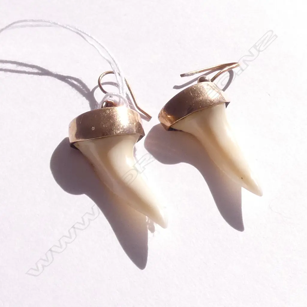 (19717) PR 9CT ROSE GOLD SHARKS TOOTH EARRINGS Image 1++