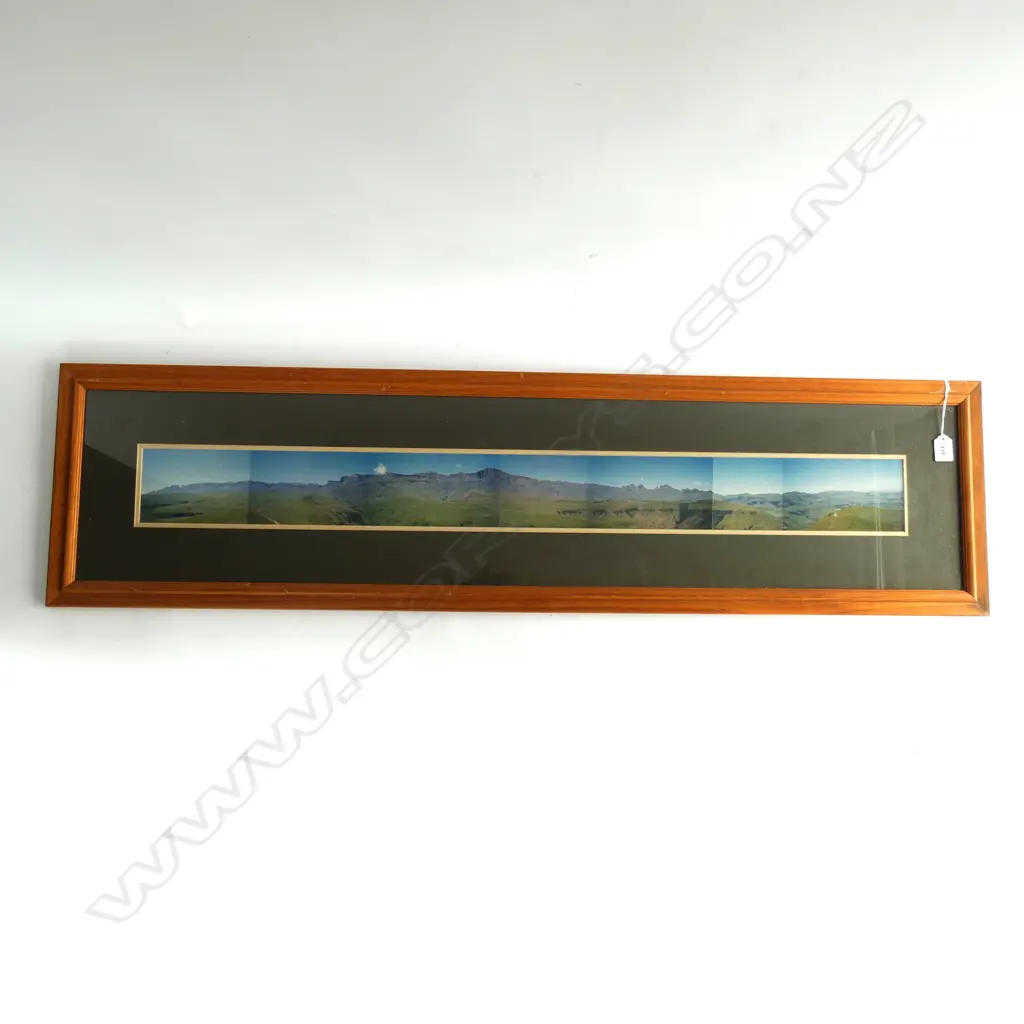 FRAMED PANORAMA 100 X 1010MM HIGH VELDT SOUTH AFRICA Image 1++