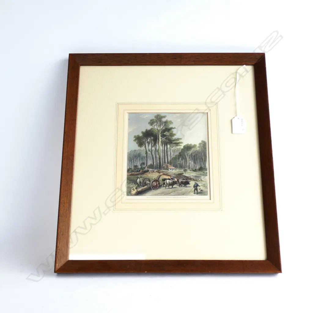 ANTIQUE ENGRAVING "CLEARING PORERUA BUSH" Image 1++