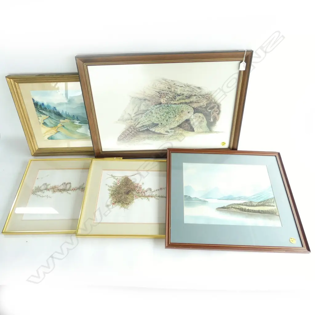 5 ARTWORKS; KEA PRINT 435x660, 2x LANDSCAPE W/C, PR BIRD PRINTS Image 1++