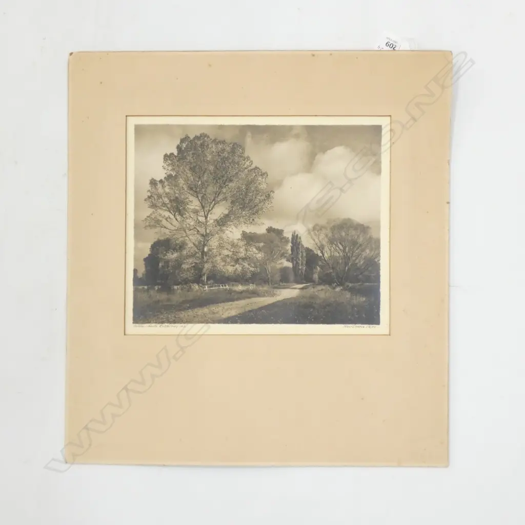 GEORGE CHANCE PHOTO - SOUTH CANTERBURY (W.W.) Image 1++
