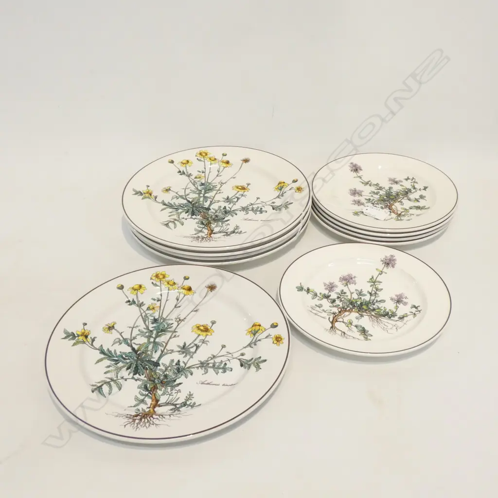 10 VILLEROY & BOCH BOTANICA PLATES; 5 DINNER (DIA 265MM) & 5 SIDE OR SALAD PLATES (DIA 210MM) Image 1++