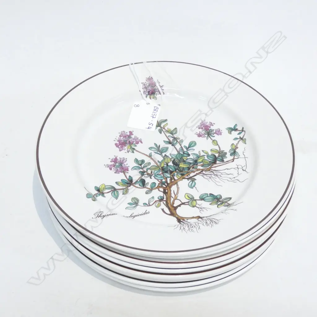 8 VILLEROY & BOCH BOTANICA SIDE OR SALAD PLATES - DIA.210MM Image 1++