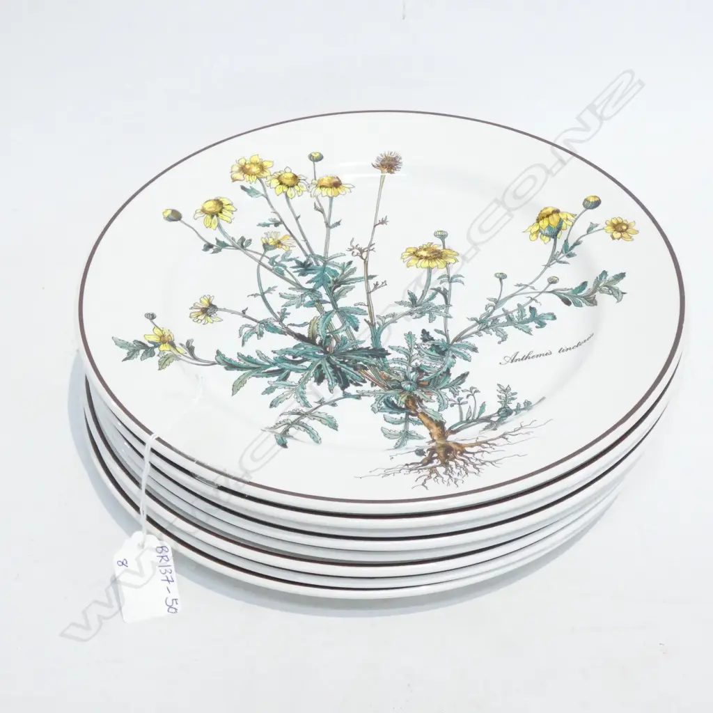 EIGHT VILLEROY & BOCH BOTANICA DINNER PLATES - DIA 265MM Image 1++