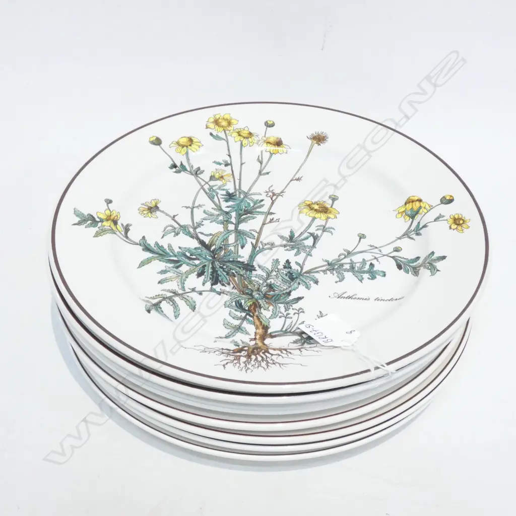 EIGHT VILLEROY & BOCH BOTANICA 8 DINNER PLATES - DIA 265MM Image 1++