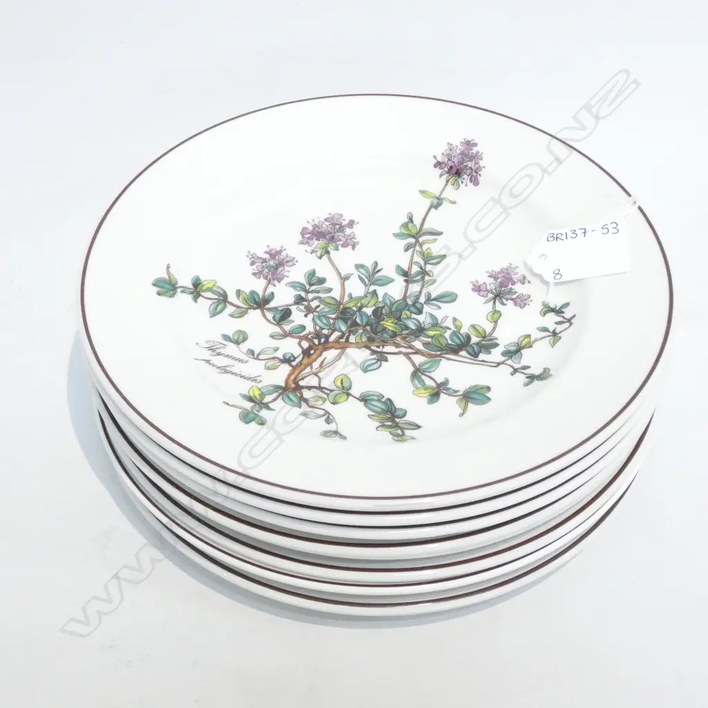 10 VILLEROY & BOCH BOTANICA SIDE OR SALAD PLATES DIA 210MM Image 1++
