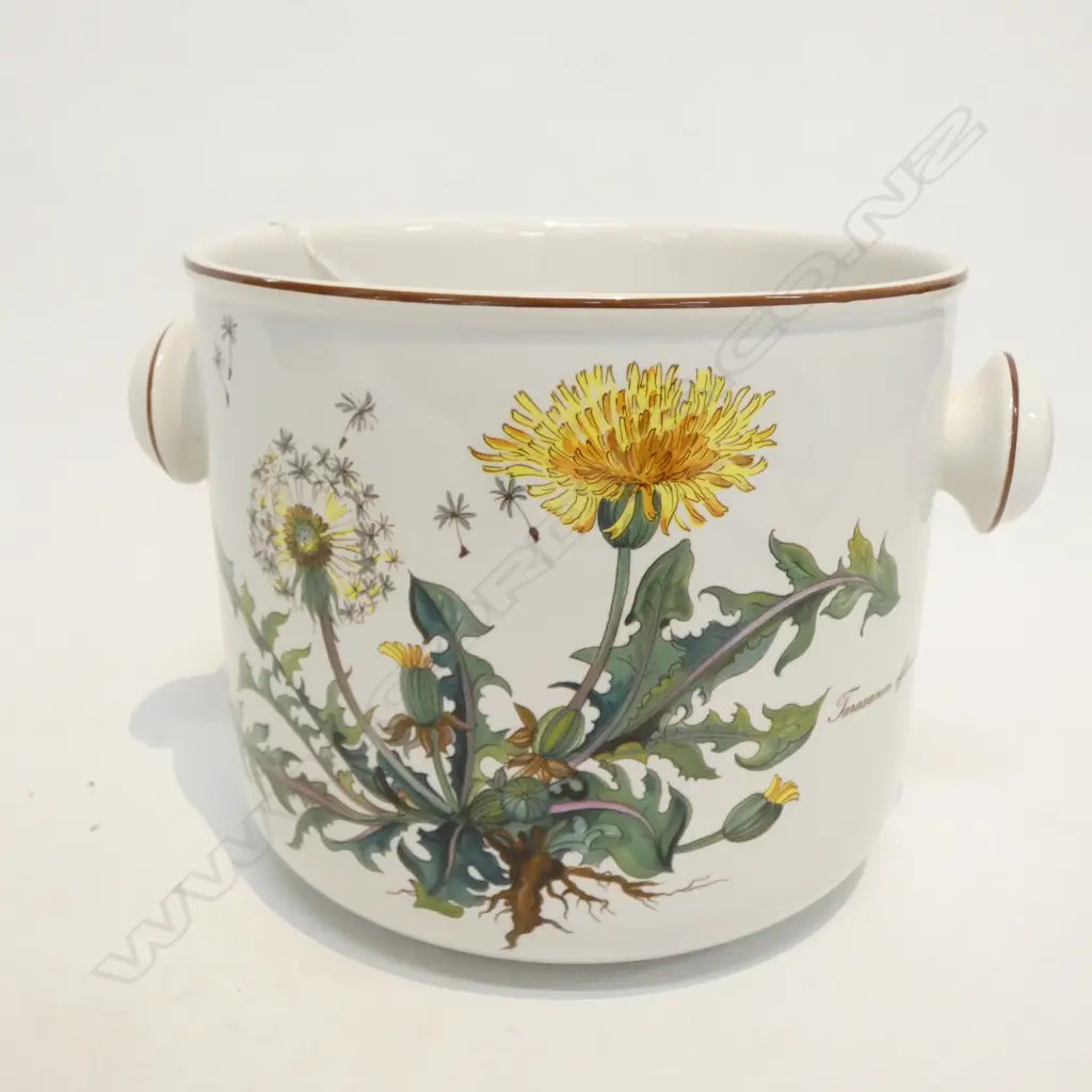 LG VILLEROY & BOCH BOTANICA ICE BUCKET H. 165 DIA 180MM Image 1++