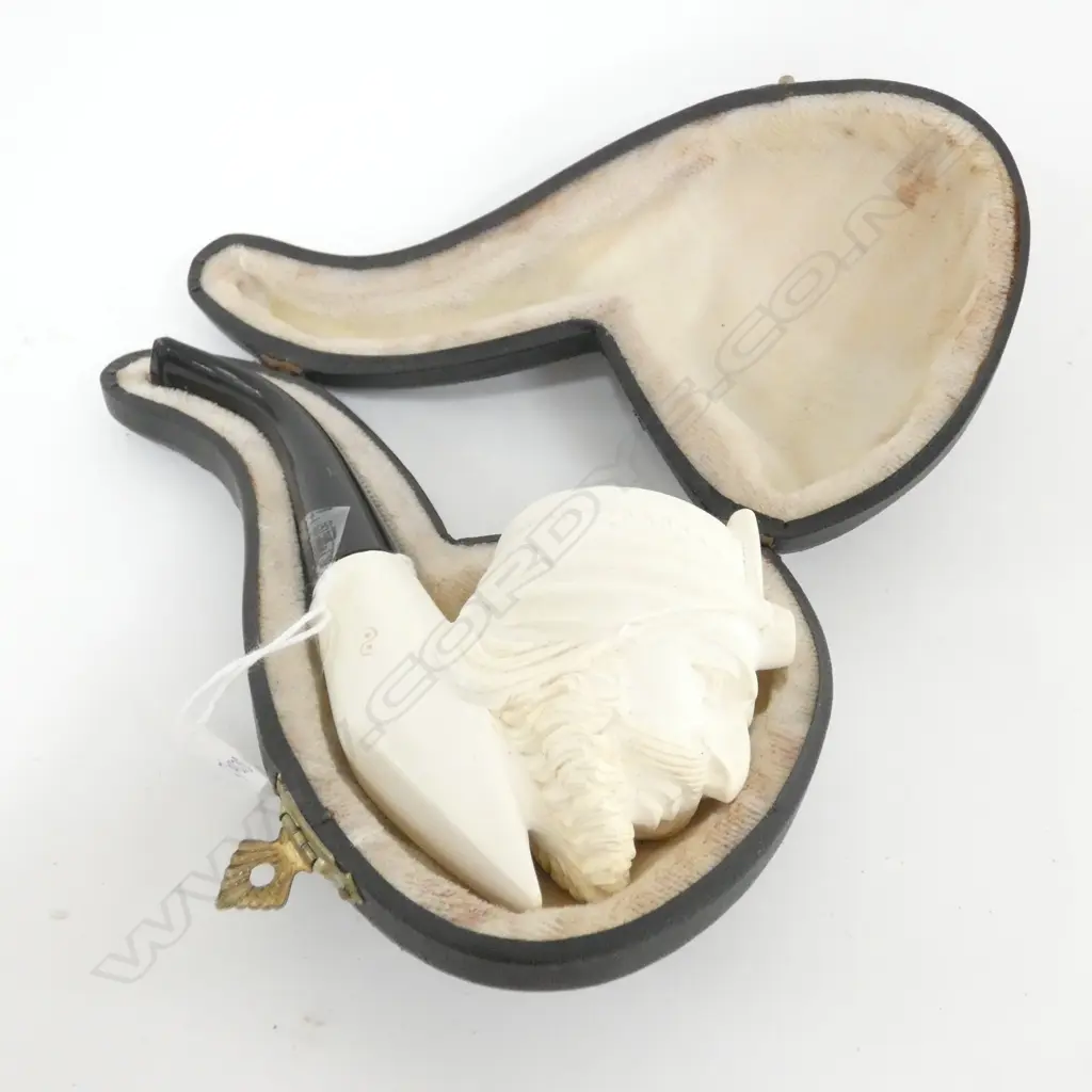 CASED MEERSCHAUM PIPE Image 1++