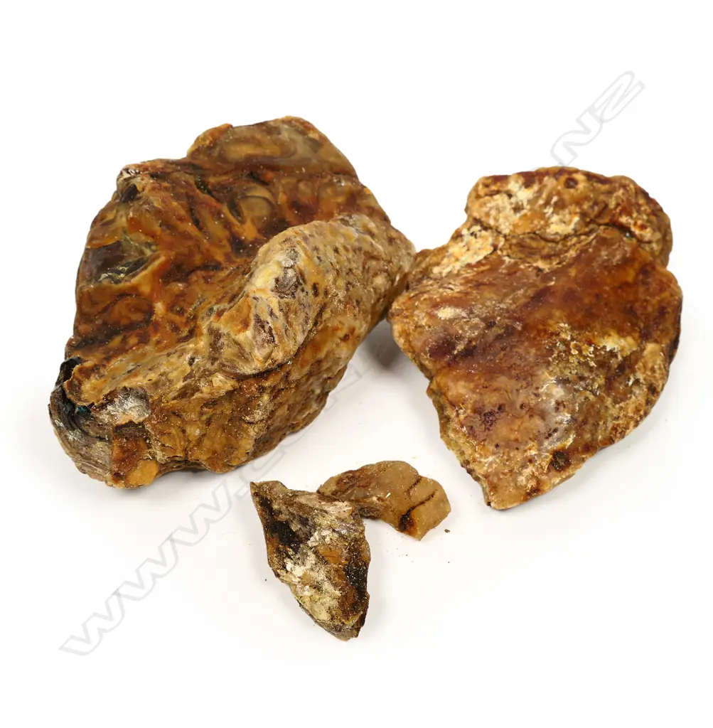 ASSORTED UNPOLISHED KAURI GUM PIECES, LARGEST L.150MMM, WEIGHT 650GM Image 1++