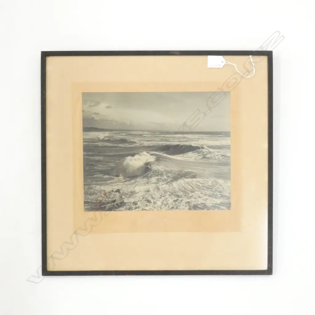 VINTAGE NZ BLACK AND WHITE PHOTO OF THE SURF 440 X 470mm Image 1++