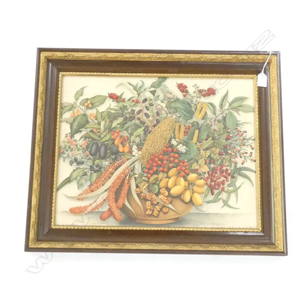 ‘NATIVE BERRIES OF NEW ZEALAND’ PRINT IN GILDED ROSEWOOD FRAME 375x485mm Image 1++