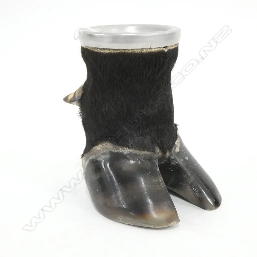 COW FOOT CUP H.135mm Image 1++