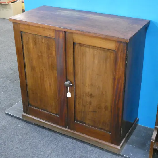 EARLY VICTORIAN MAHOGANY SMALL SIDE CUPBOARD...