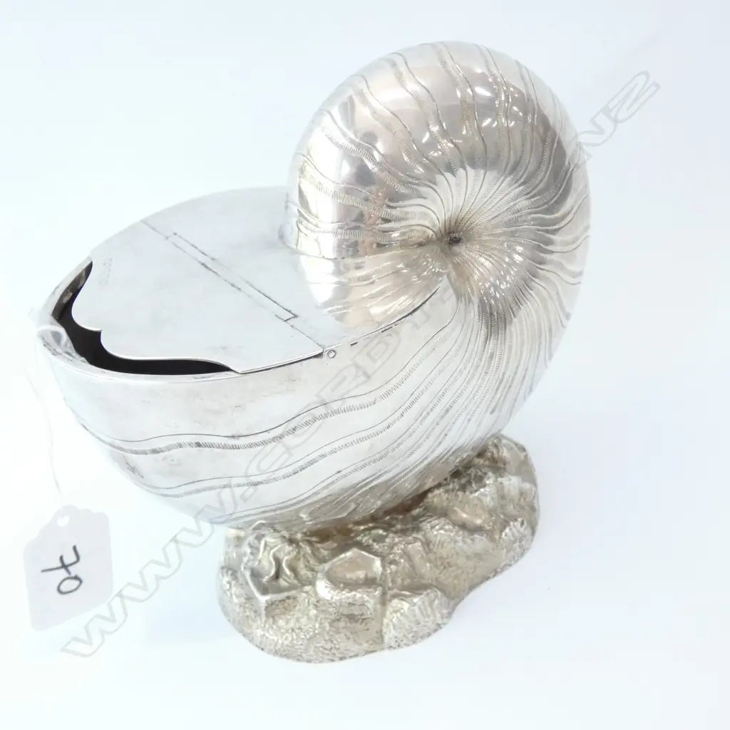 EDW S/PLATE NAUTILUS SHELL SPOON WARMER Image 1++