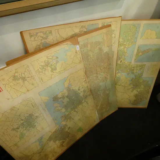 4 MAPS OF AUCKLAND ON BOARD 985 X 810