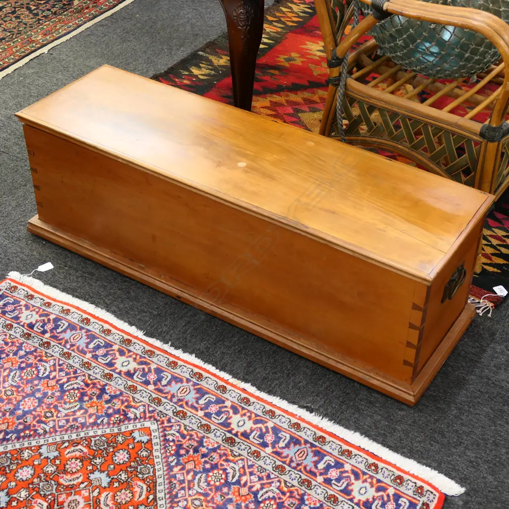 LONG KAURI COLONIAL TRUNK  Image 1++