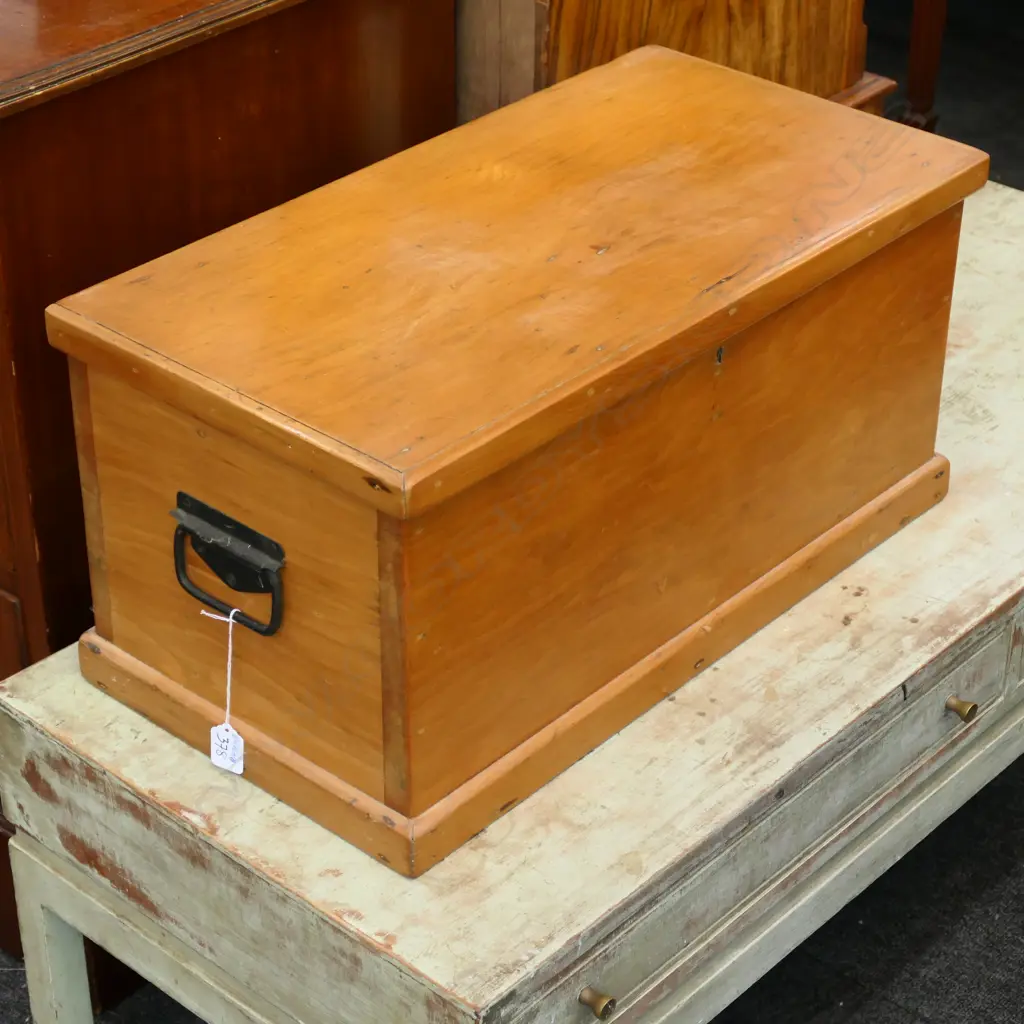 SMALL COLONIAL KAURI TRUNK L 610 MM  Image 1++