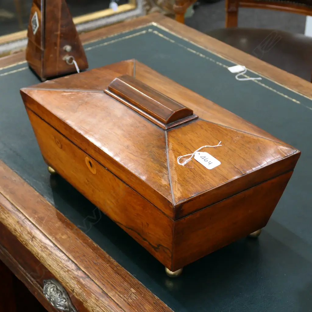 REGENCY MAHOGANY SARCOPHAGUS TEA CADDY Image 1++
