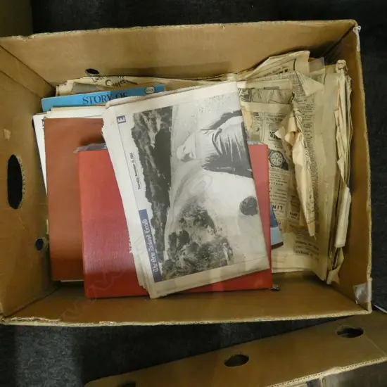 N.Z RELATED BOOKS + NEWSPAPERS