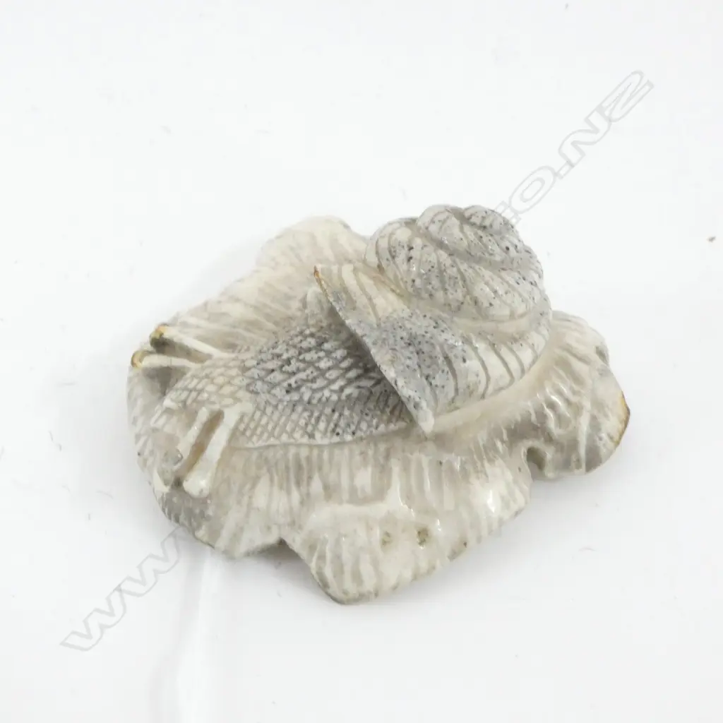 RESIN SNAIL ON FUNGI L.55mm Image 1++