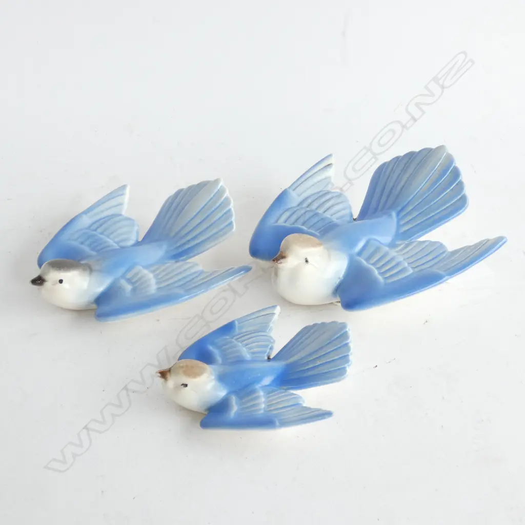 THREE POOLE SWALLOWS Image 1++