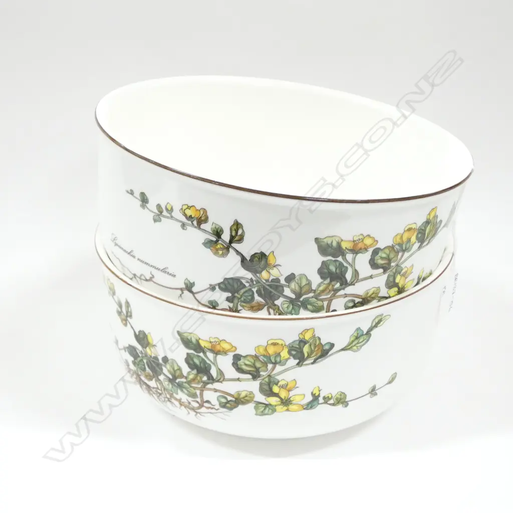 PR LG VILLEROY & BOCH BOTANICA SERVING BOWLS ( 230 X 115MM) Image 1++