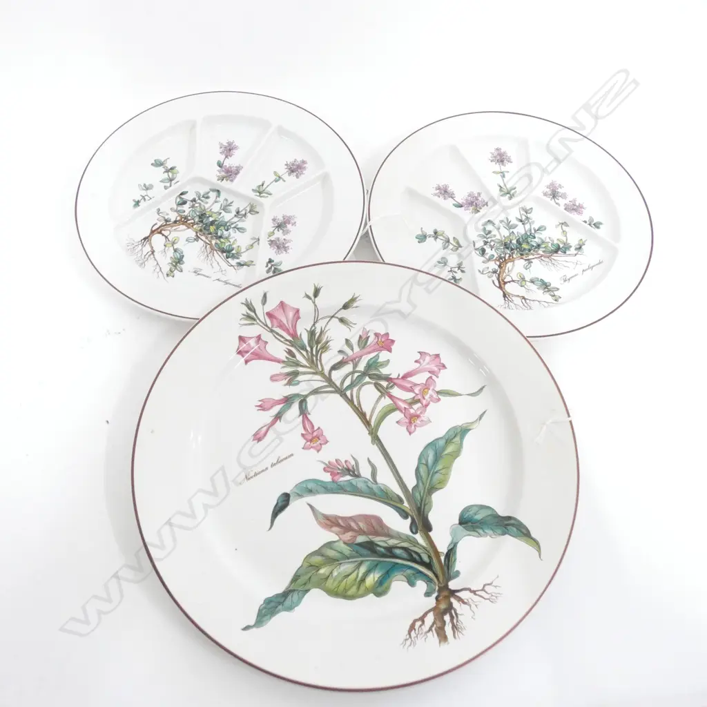 VILLEROY & BOCH BOTANICA LG PLATTER (DIA 310MM) & 2 DIVIDED SERVING PLATES (DIA 245MM) Image 1++