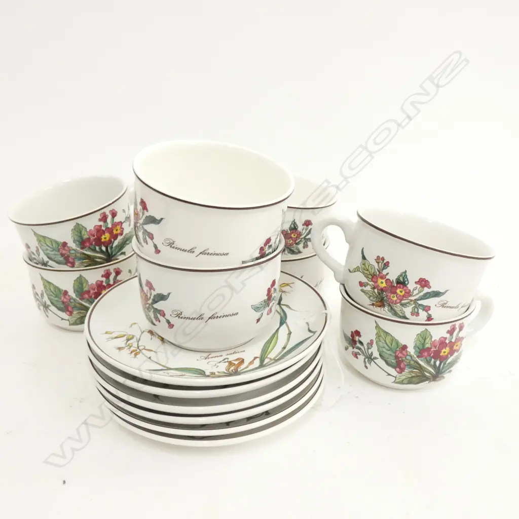 VILLEROY & BOCH BOTANICA LG CUPS & SAUCERS - 8 CUPS & 6 SAUCERS Image 1++