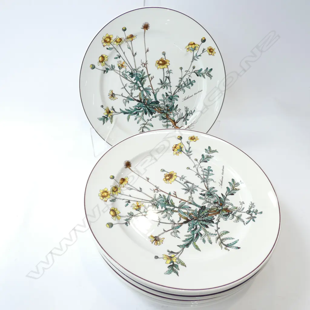 8 VILLEROY & BOCH BOTANICA DINNER PLATES - DIA.265MM Image 1++