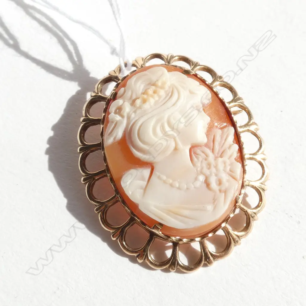 (19709) 9ct GOLD FRAMED CAMEO BROOCH Image 1++