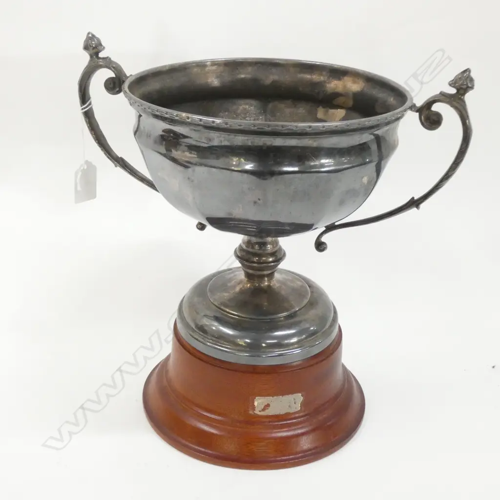 LG OLD SILVER PLATE TROPHY - WOODEN BASE - H.290 DIA 210MM Image 1++