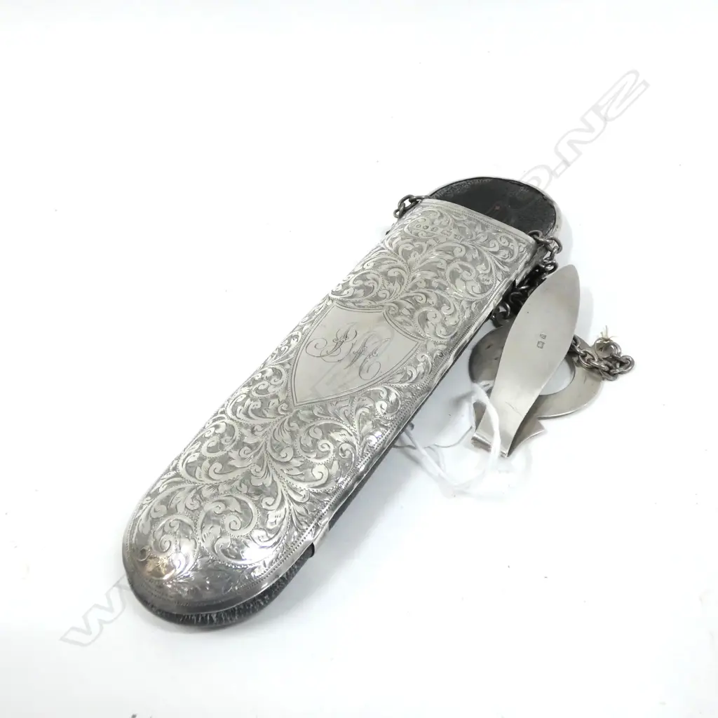 STG SILVER CHATELAINE SPECTACLES CASE L.260mm Image 1++