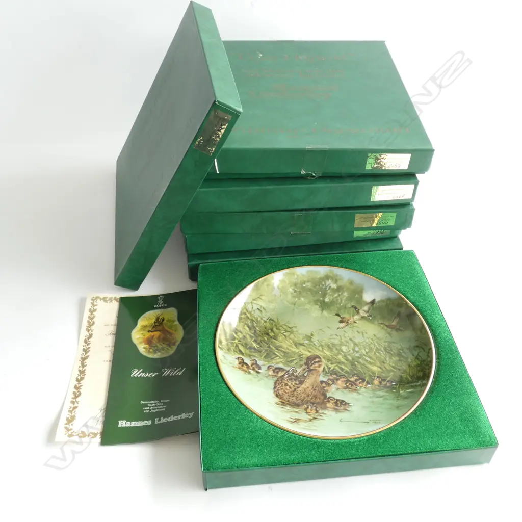 6 KAISER PORCELAIN BIRD SERIES PLATES C1980'S SOME DUPLICATES - INDIVID. BOXED -DIA 240MMED Image 1++