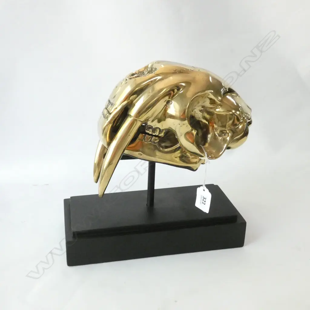 POLISHED BRONZE SABRE TOOTH TIGER SKULL ON STAND Image 1++