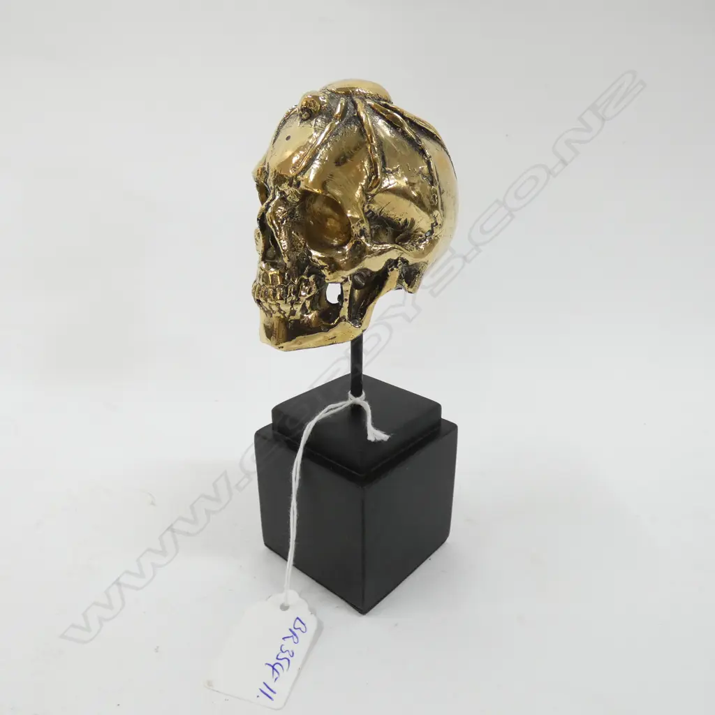 SMALL POLISHED BRONZE SCULPTURE SKULL WITH SPIDER... Image 1++